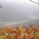 향로농장 이미지