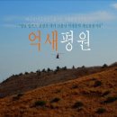 평원농장 이미지