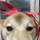 용정로-R 이미지