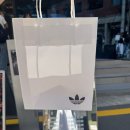 아디다스 펫 캘리 티셔츠 사이즈 팁, 구매후기_아디다스 오리지널스 플래그십 성수