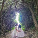 호텔모아 이미지