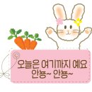 카페다생