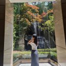 [내돈내산] 롯데호텔 라세느 생일 50%할인 후기 (+동반인 10%)