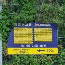 삼척 장호항 [은하호]- 가자미 배낚시 체험 후기 데이트 코스/아이와 가볼 만한 곳 추천