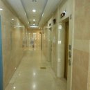 둔산중로-11 이미지