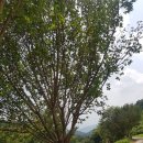 돌탑산장