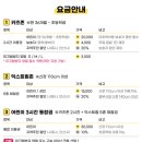 다이나믹온 이미지