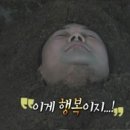 편백효소테라피