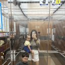 안양천생태이야기관 화장실 | 경기도 안양 실내 아이랑 가볼만한 곳 안양천생태이야기관 주말 방문 후기 + 주차 / 4D영화