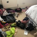 돼지우리 이미지