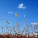 삼락생태공원 이미지