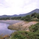 완도 맹선리 상록수림 이미지