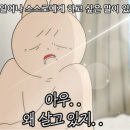 드림스포츠센터 이미지