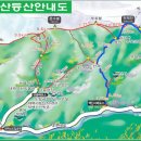 시화라성약국 이미지