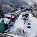 소나무 펜션 이미지