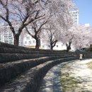 구공설운동장 이미지