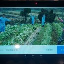 도암농장 이미지