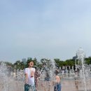 해돋이공원(바닥분수 옆) 이미지