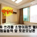 토운모닝톤 이미지