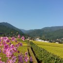 고향마을 이미지