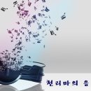 침묵의 음악세계[Ceol Domhanda na Tost](09:00-16:00) 이미지