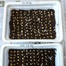 고추연구소농장 이미지