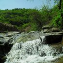 신월2리 이미지