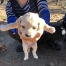 선사유적로 이미지