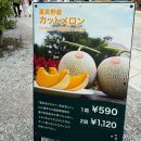 버스정류장 06-071 | 투어비스,하루하루투어) 내돈내산 후기, 삿포로 버스투어, 홋카이도 버스투어, 패치로드, 청의호수...