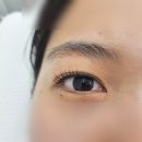 인셀덤서현 | 분당 서현역 속눈썹펌 우아뷰티 추천해요