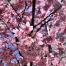 인천첨단초등학교 | 송도동 사무실 책상유리 인천첨단초등학교 교무실 행정실 엘자책상 유리 시공 후기_인천 동아유리