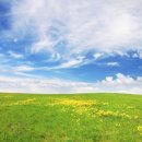 하얀마음