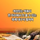 경주시청 대구 전국 개성 있는 떡볶이 설윤지기자 한국신문방송인협회 국민의소리 경북신문TV 이미지