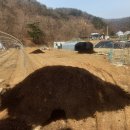 여주(생여주, 건여주,여주환)를 판매합니다 이미지