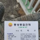 동성건재 이미지