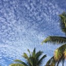 모아컴퓨터 이미지