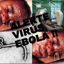 서부 아프리카 3국에 에볼라 창궐 이미지