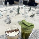 옵티마봄약국 이미지