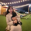 카페캐빈하우스 | 김포 애견동반 캠핑식당 글램핑 바베큐 캐빈하우스 내돈내산 후기