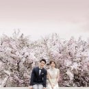 창스튜디오 - 유성구 용계로94번길 110-29 | 창스튜디오