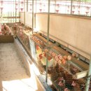 유기농장 이미지