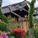 자연민박 이미지