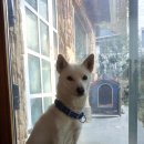 마당하우스 이미지