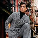 라이트 하운드 이미지