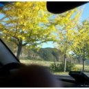 (주)오늘의선물 이미지