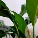 가원메디칼 이미지