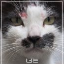 크리에이티브나다 네이버블로그