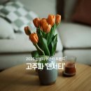 오성에너지 | 나혼산 구성환 고주파 시술 후기, 남성피부관리 트렌드 2025