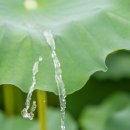 예인한의원 이미지