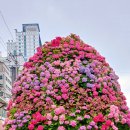 내린천공원 이미지